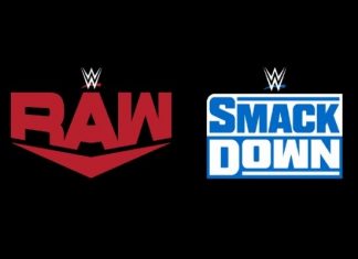 Luchadores de Raw y Smackdown