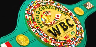 Consejo Mundial de Boxeo